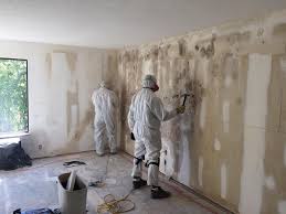 Best Mold Odor Removal Services  in Wekiwa Springs, FL